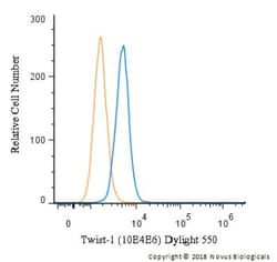 Twist-1 Antibody (10E4E6) - BSA Free, Novus Biologicals:Antibodies:Primary